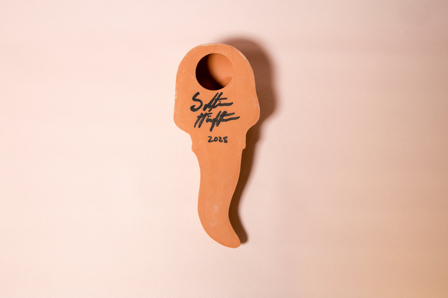 Terracotta skull tongue wall ornament
