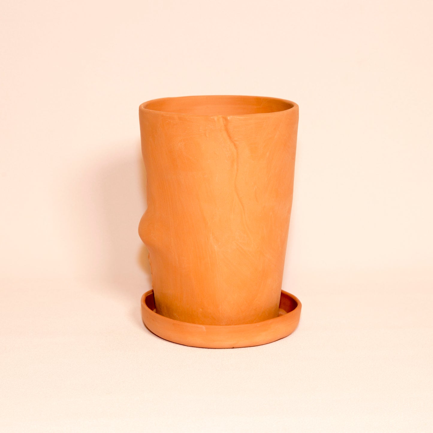 Terracotta skull flower pot