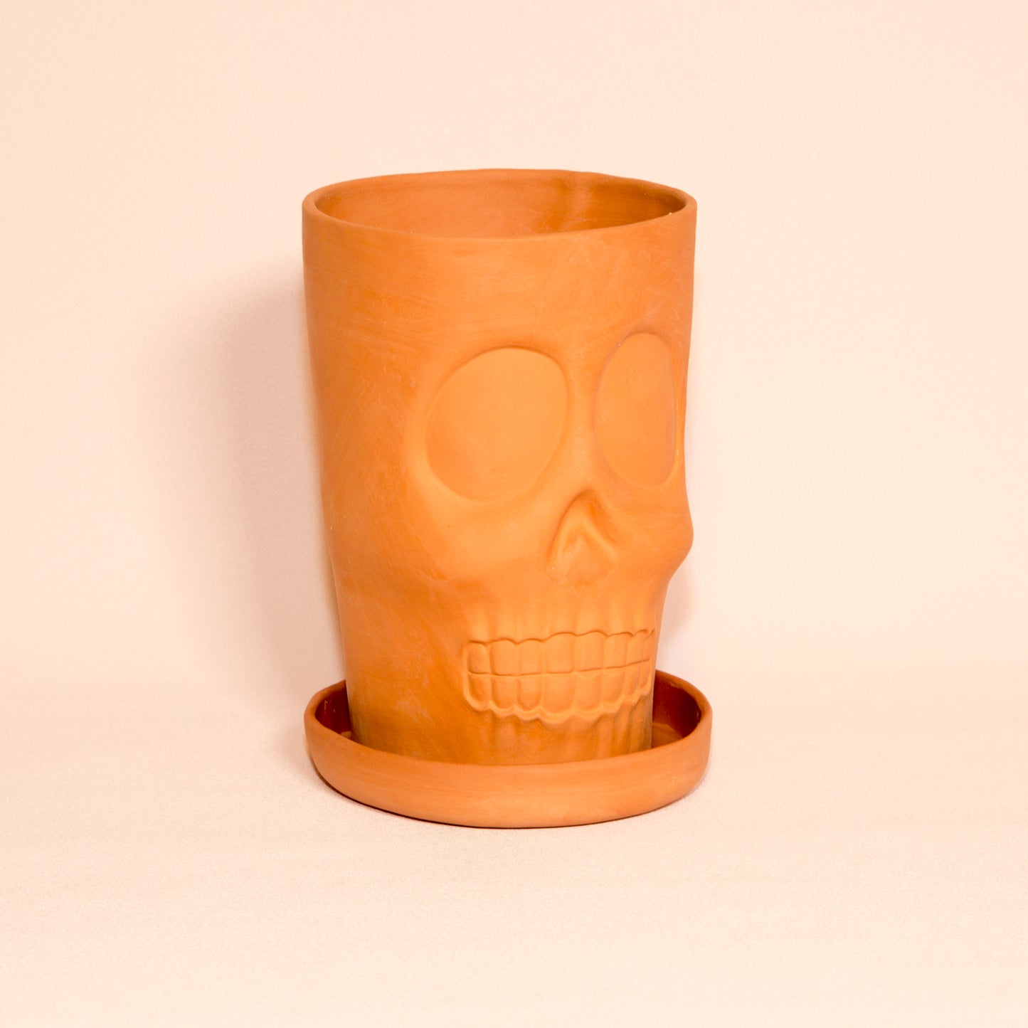 Terracotta skull flower pot