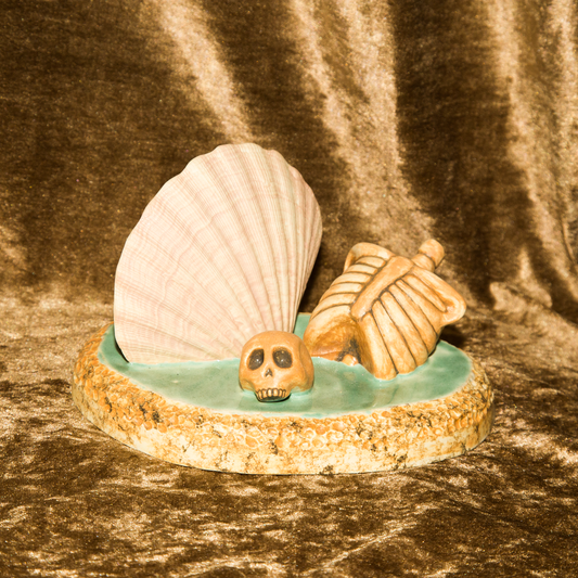 Scallop skull sculpture