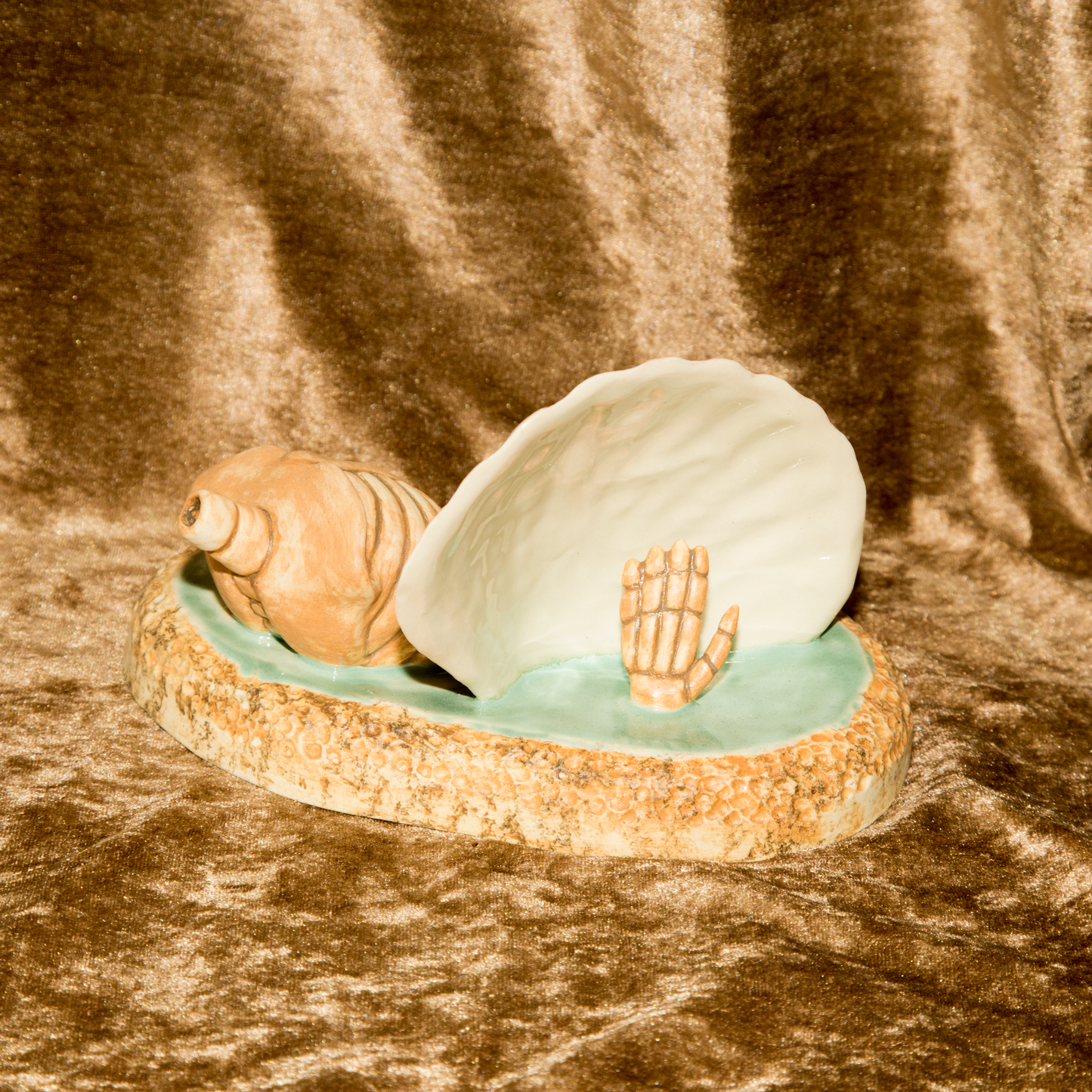 Scallop skull sculpture